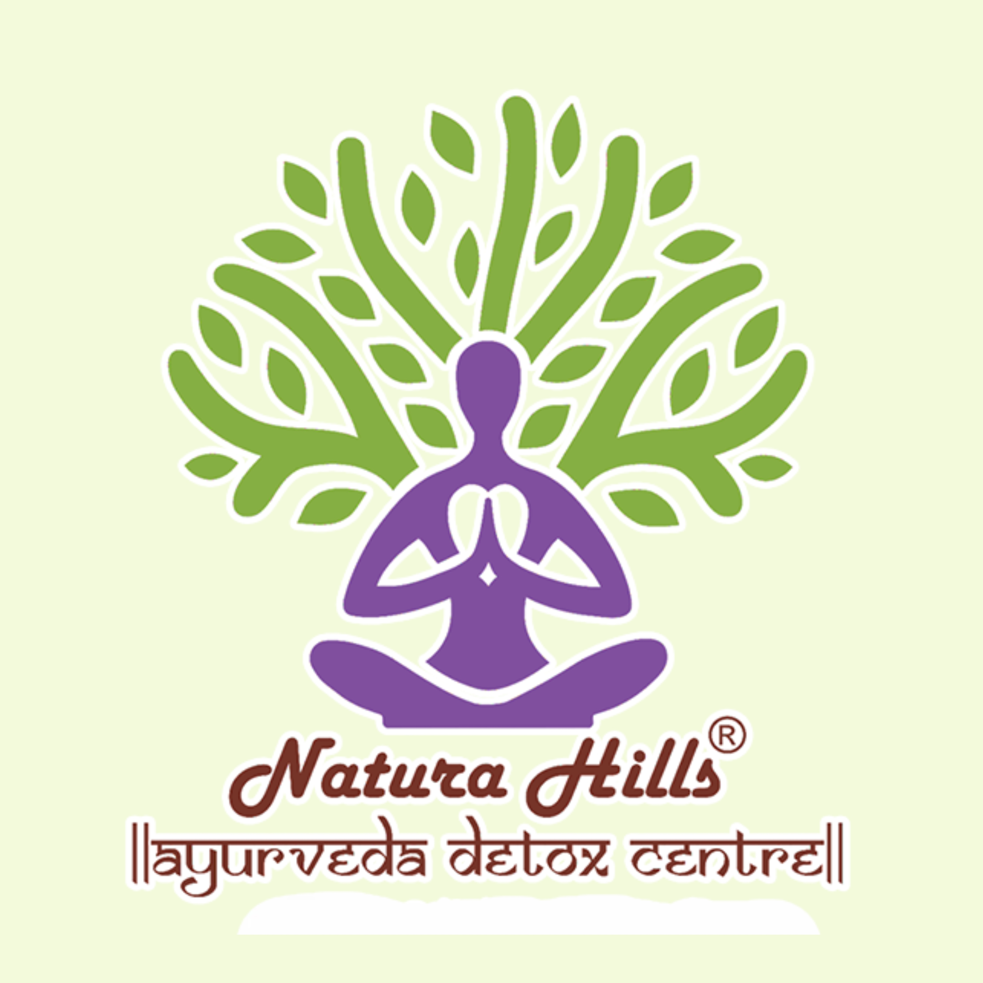 naturahills ayurveda detox centre | medical clinic in mumbai