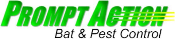 prompt action pest control llc | pest control in schofield