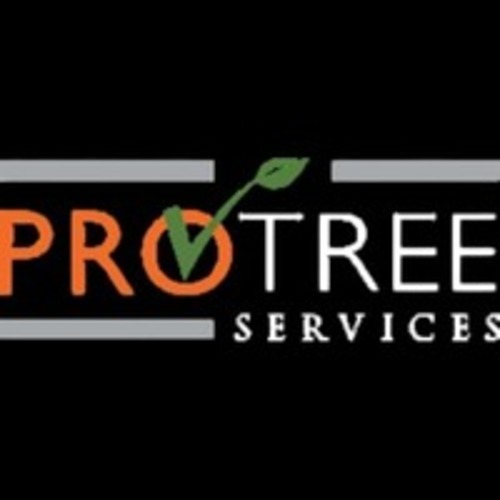 pro tree services llc | tree cutting services in aston township