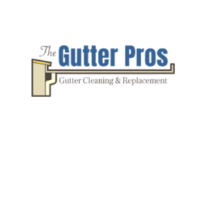 the gutter pros | home improvement in selbyville