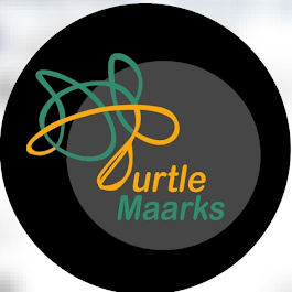 TURTLE MAARKS HEARING HEALTH