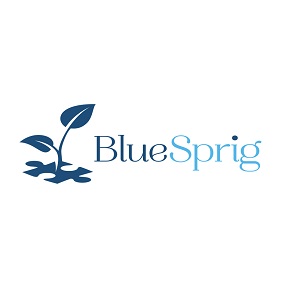 florida autism center lutz, a division of bluesprig | health in florida, fl