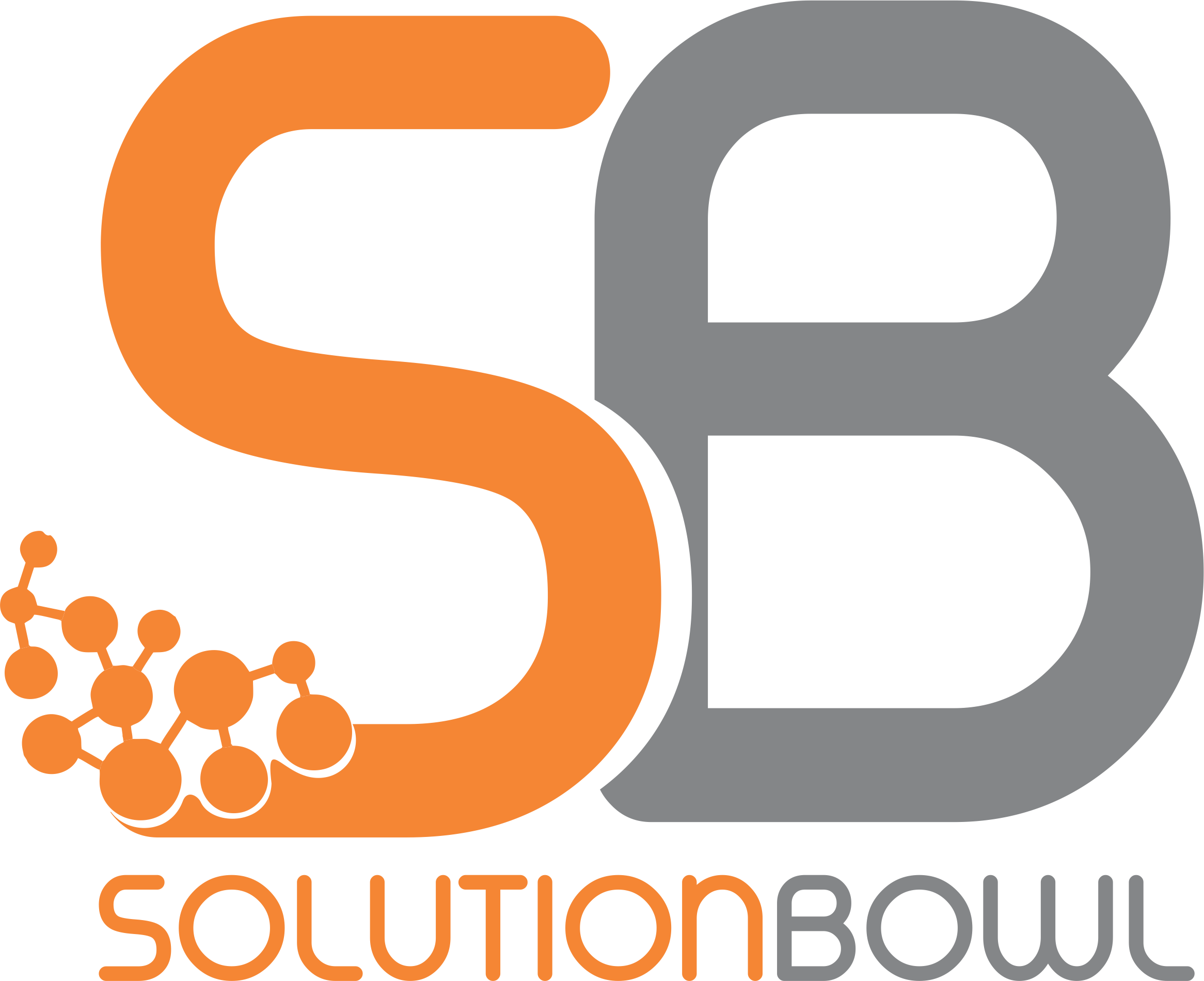 solution bowl | technology in gurugram