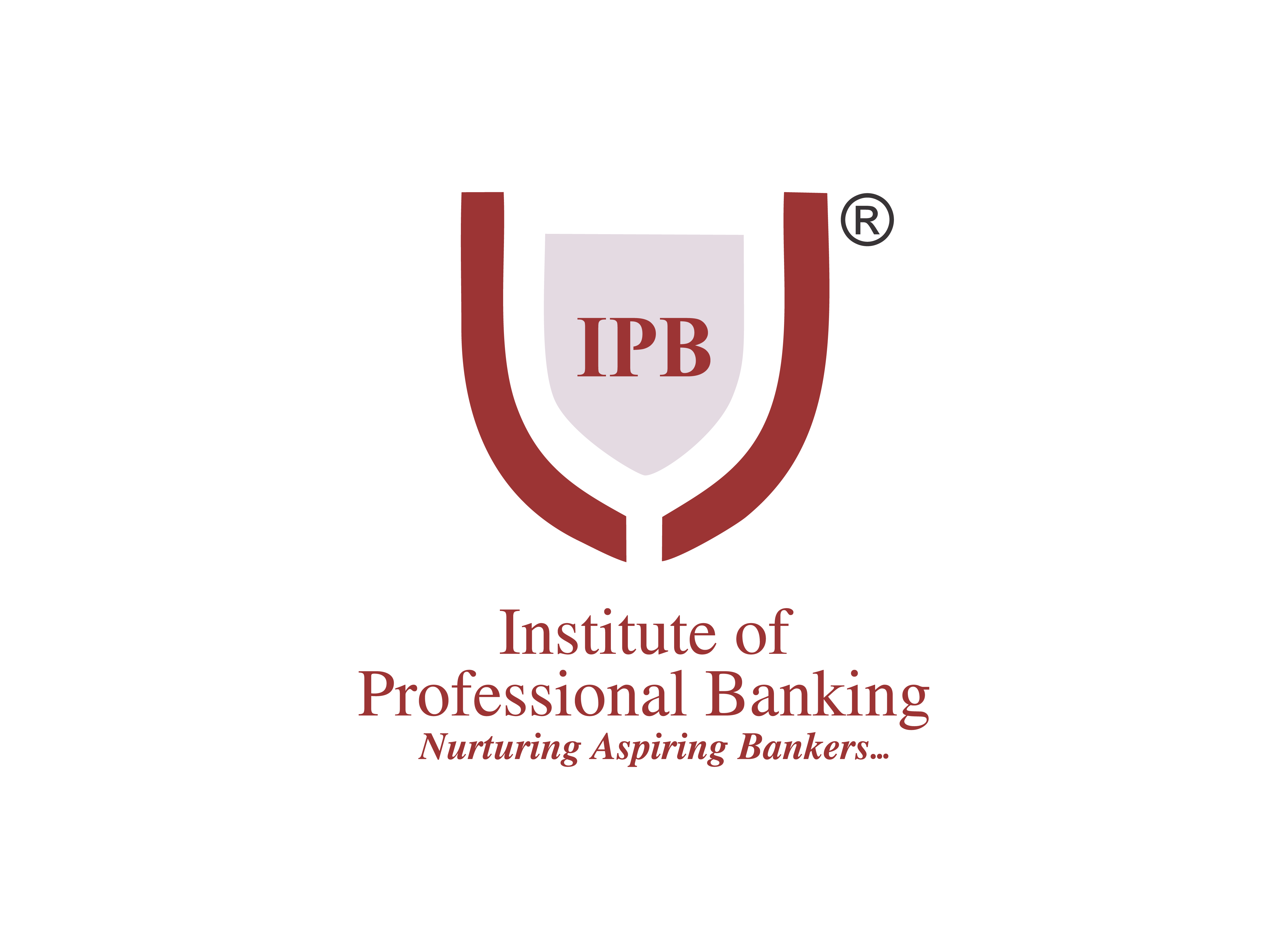 institute of professional banking | educational services in mohali