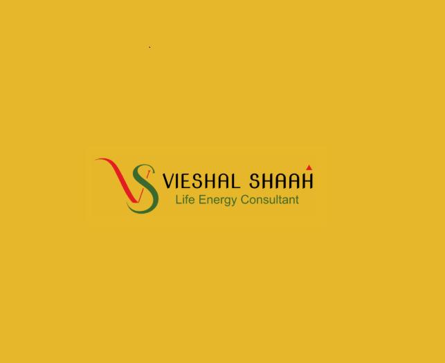 vieshal shaah - life energy & vastu consultant | astrologer in vadodara