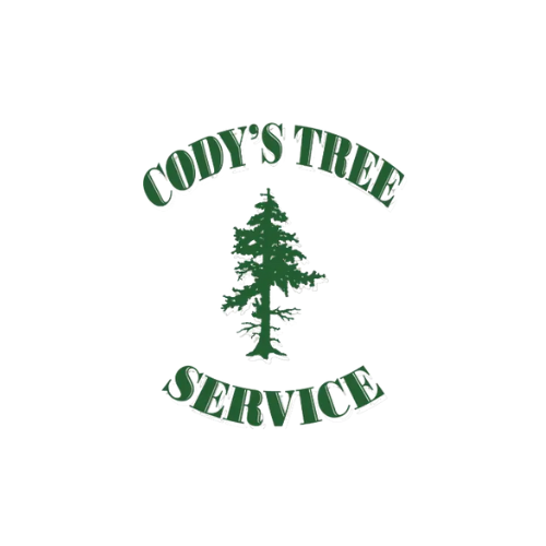 CODYS TREE SERVICE