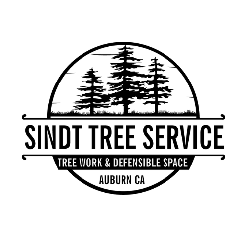 SINDT TREE SERVICE