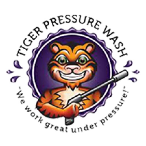 TIGER PRESSURE WASH