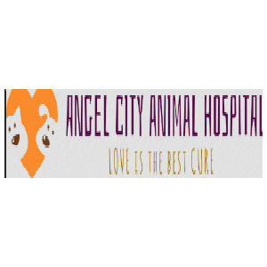 ANGEL CITY ANIMAL HOSPITAL