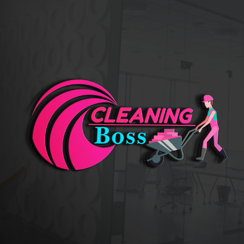 CLEANING BOSS