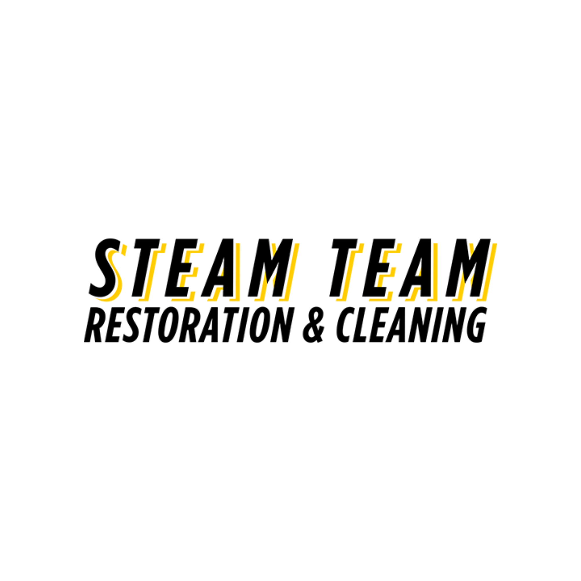 STEAM TEAM