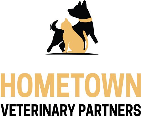 HOMETOWN VETERINARY PARTNERS ST. PETERSBURG