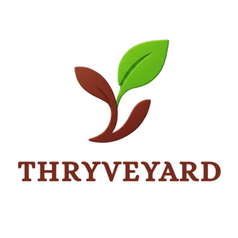 THRYVEYARD - DIGITAL MARKETING AGENCY
