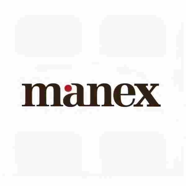 manex consulting | business directory in san ramon