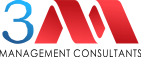 3M MANAGEMENT CONSULTANT