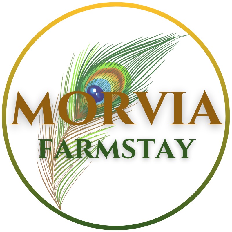 MORVIA FARMSTAY
