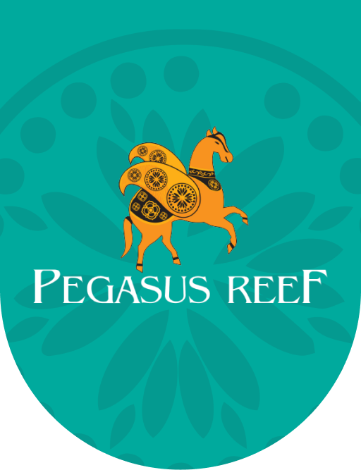 PEGASUS REEF HOTEL