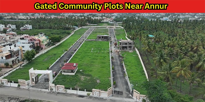 MAYON FOUNDATIONS