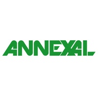 digital marketing services - annexal |  in mohali, punjab, india
