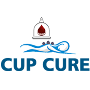 cupcure hijama therapy tranning centre |  in mumbai