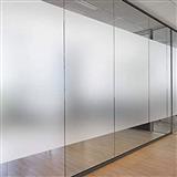 FENIX GLASS FILM