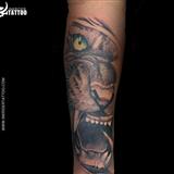 INKRIDER TATTOOS | MOST & BEST RATED TATTOO SHOP IN AHMEDABAD