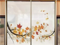 ZIVAN GLASS FILM