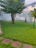 MEGIDDO PEST CONTROL