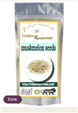 TRIDEVA AYURVEDA