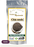 TRIDEVA AYURVEDA