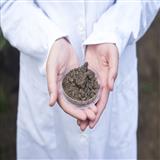 DHANBAD HOME DESIGNER