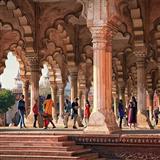 AMAZING INDIA TOURS
