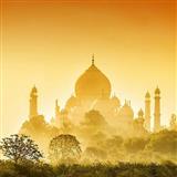AMAZING INDIA TOURS