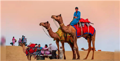 DESERT DREAM ROYAL CAMP JAISALMER