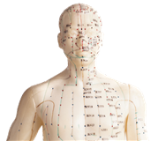 JANET BARROWS ACUPUNCTURE & INTEGRATIVE MEDICINE